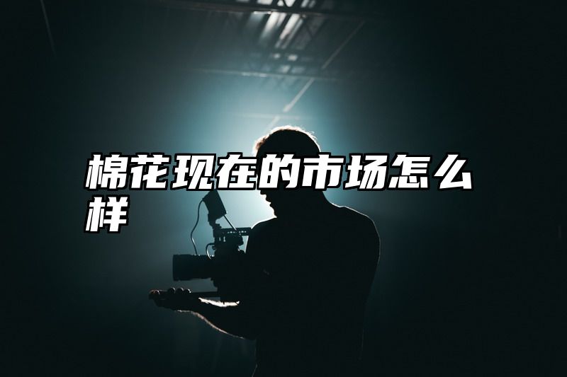 棉花现在的市场怎么样