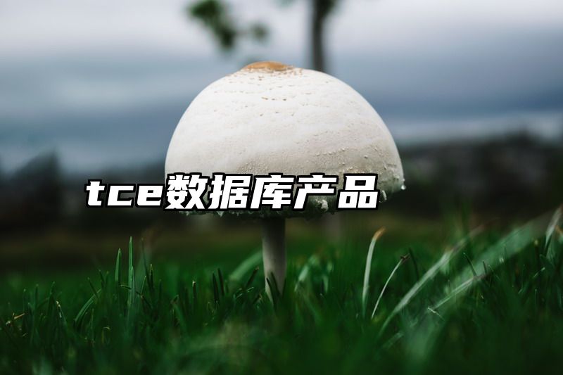 tce数据库产品