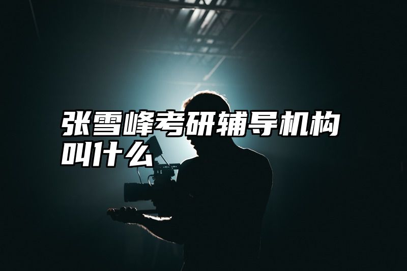 张雪峰考研辅导机构叫什么