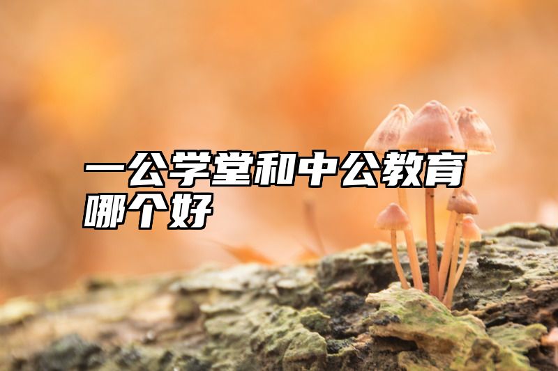 一公学堂和中公教育哪个好