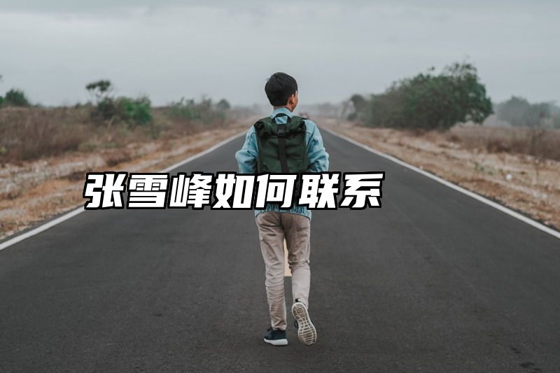 张雪峰如何联系
