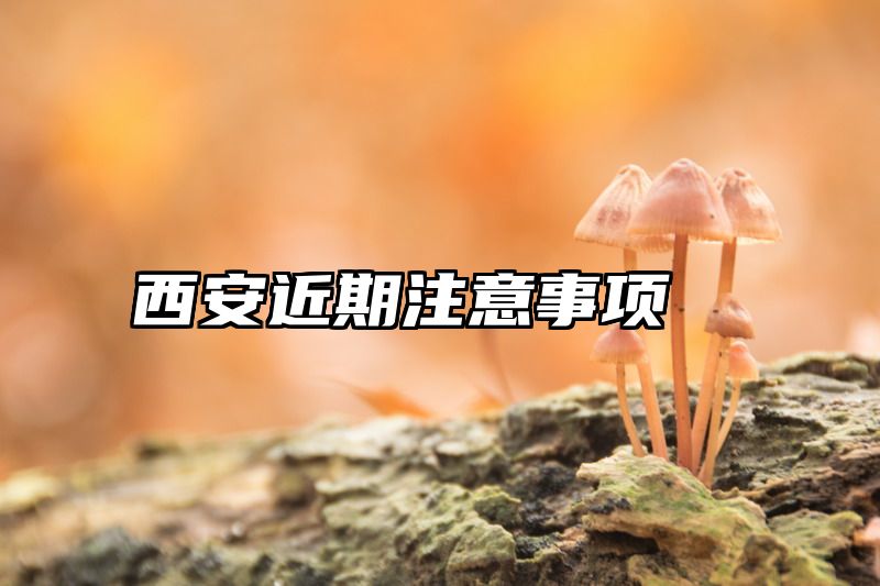 西安近期注意事项