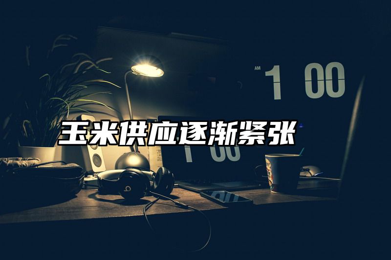 玉米供应逐渐紧张