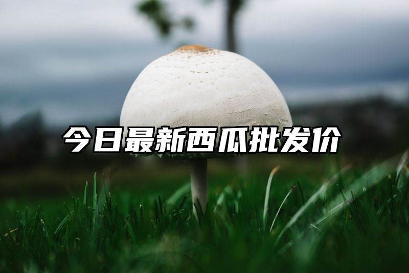 今日最新西瓜批发价