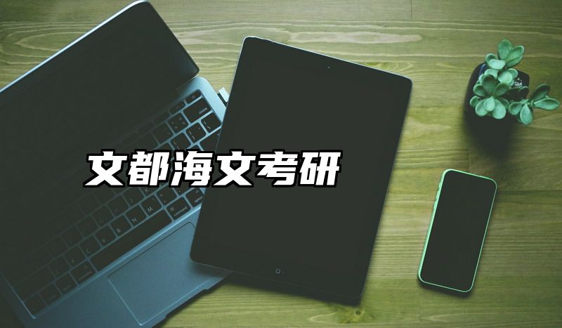 文都海文考研