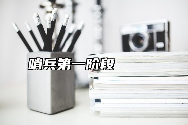 哨兵第一阶段