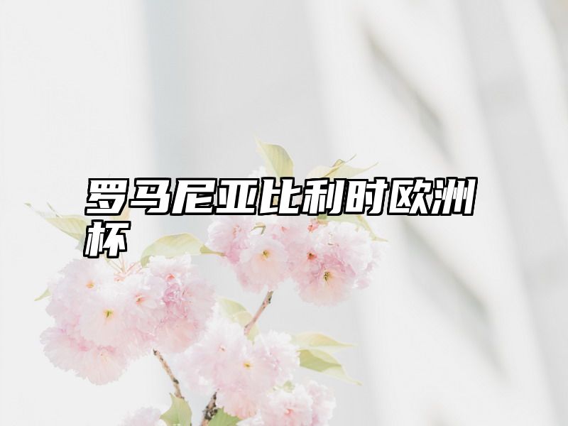 罗马尼亚比利时欧洲杯