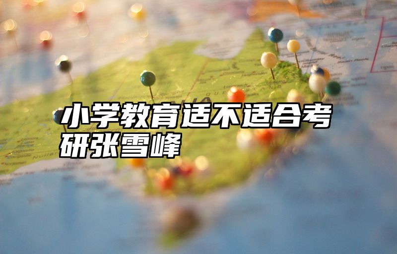 小学教育适不适合考研张雪峰