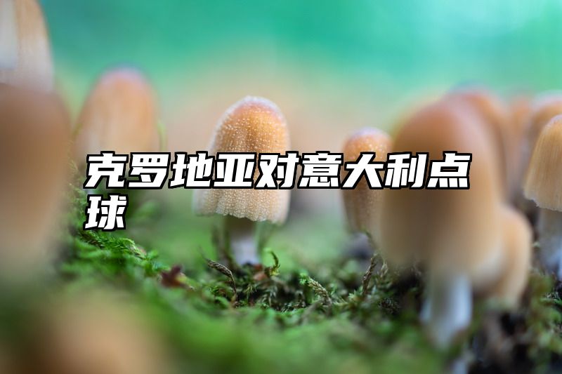 克罗地亚对意大利点球