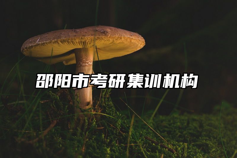 邵阳市考研集训机构