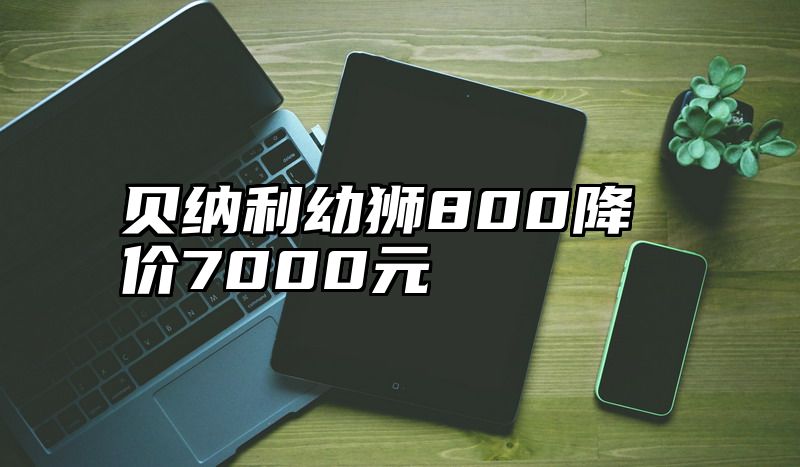 贝纳利幼狮800降价7000元