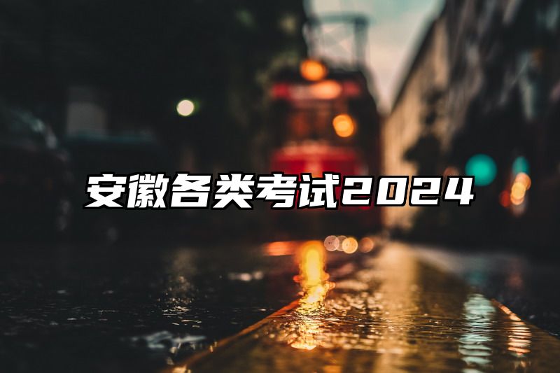 安徽各类考试2024