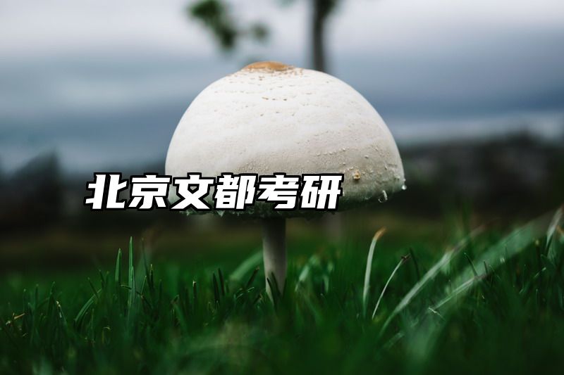 北京文都考研