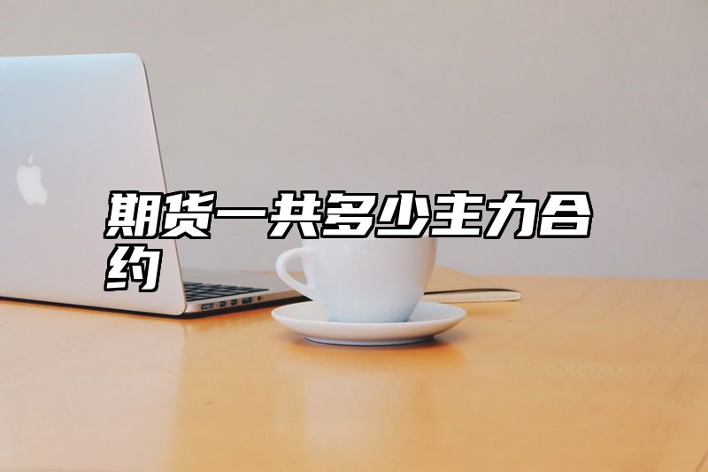 期货一共多少主力合约