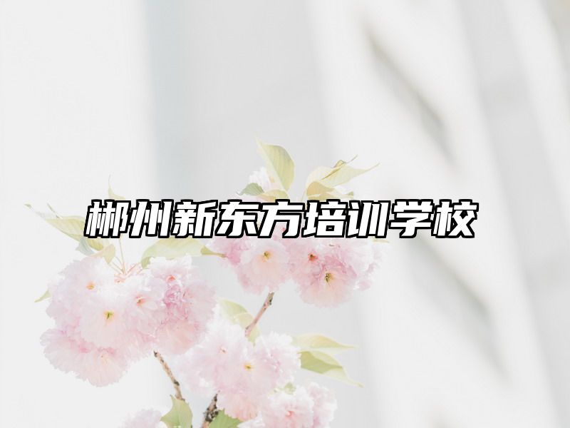 郴州新东方培训学校