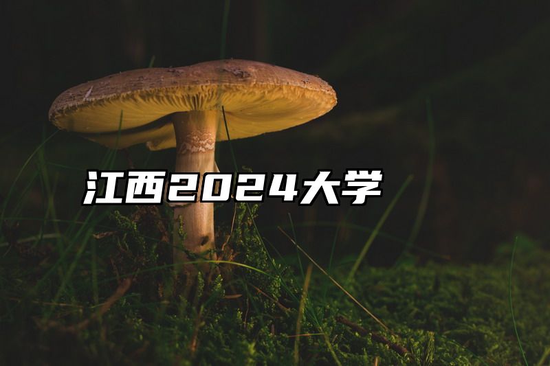 江西2024大学