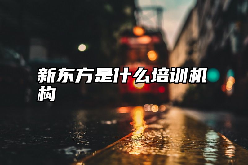 新东方是什么培训机构