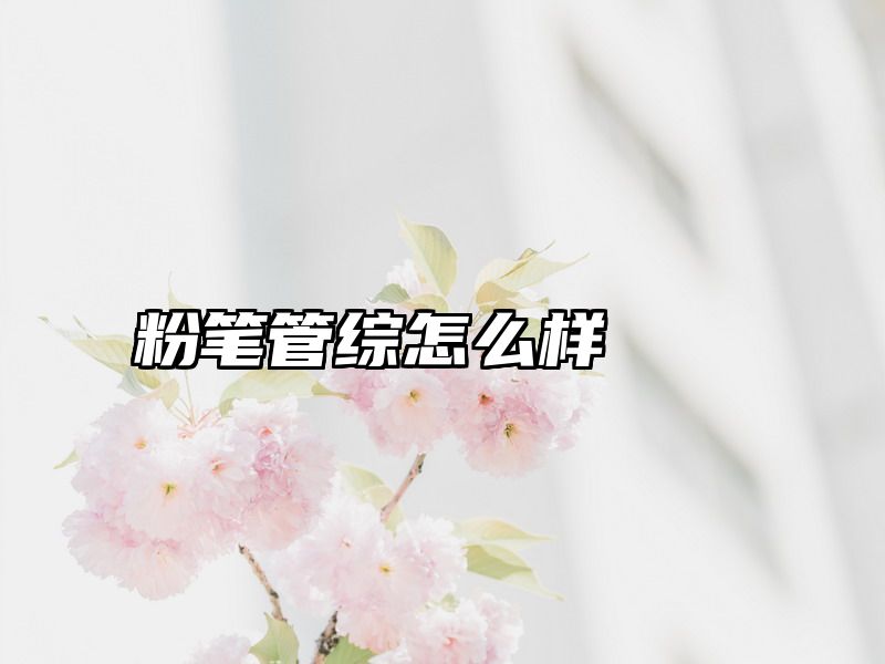 粉笔管综怎么样
