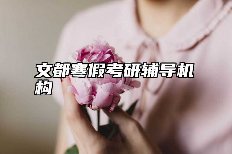 文都寒假考研辅导机构