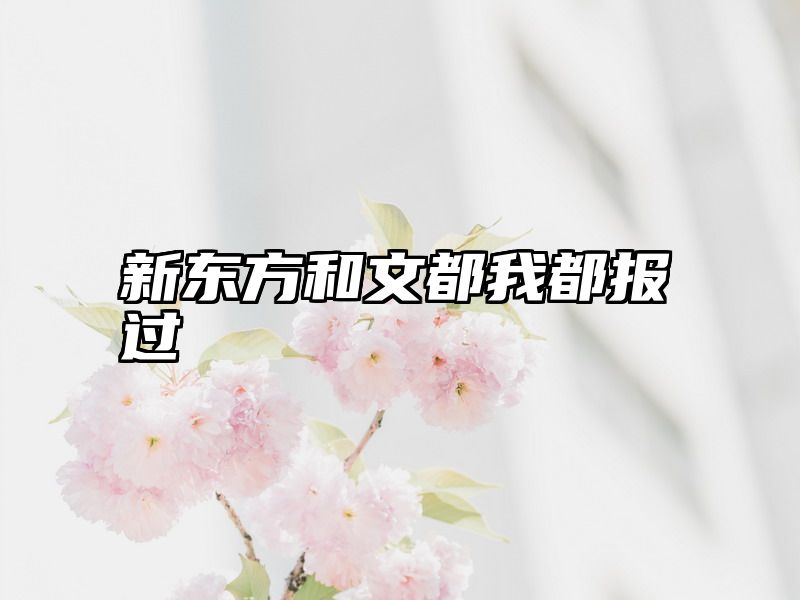 新东方和文都我都报过