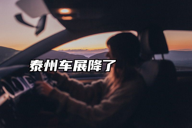 泰州车展降了