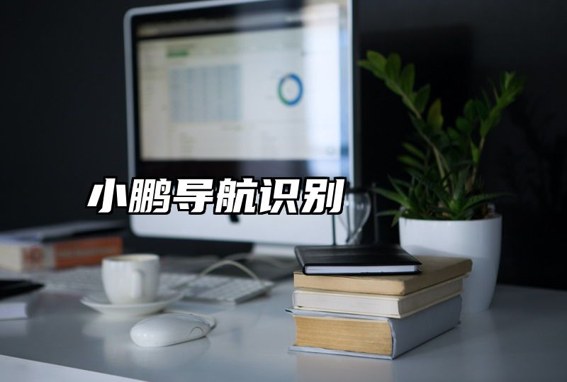 小鹏导航识别