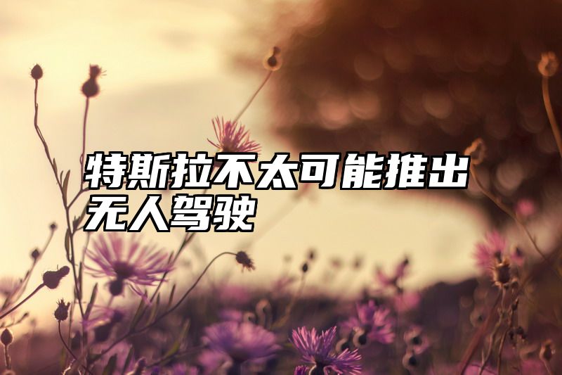 特斯拉不太可能推出无人驾驶