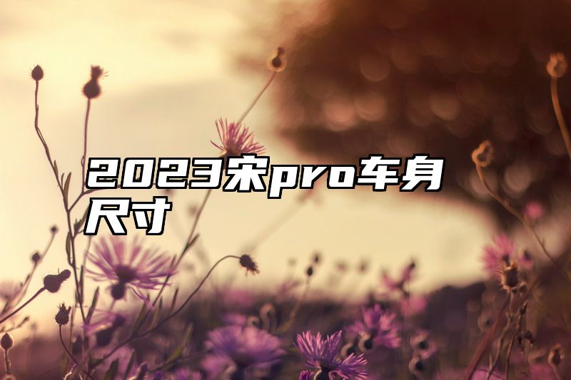 2023宋pro车身尺寸
