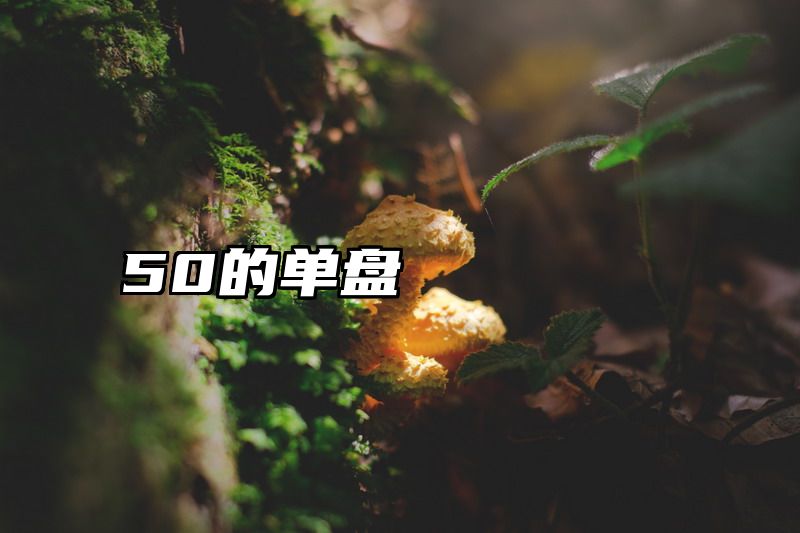 50的单盘