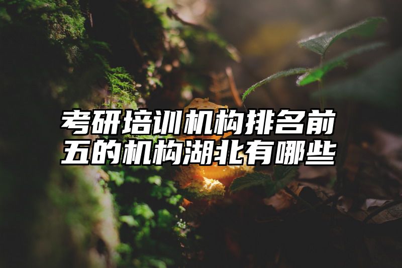 考研培训机构排名前五的机构湖北有哪些