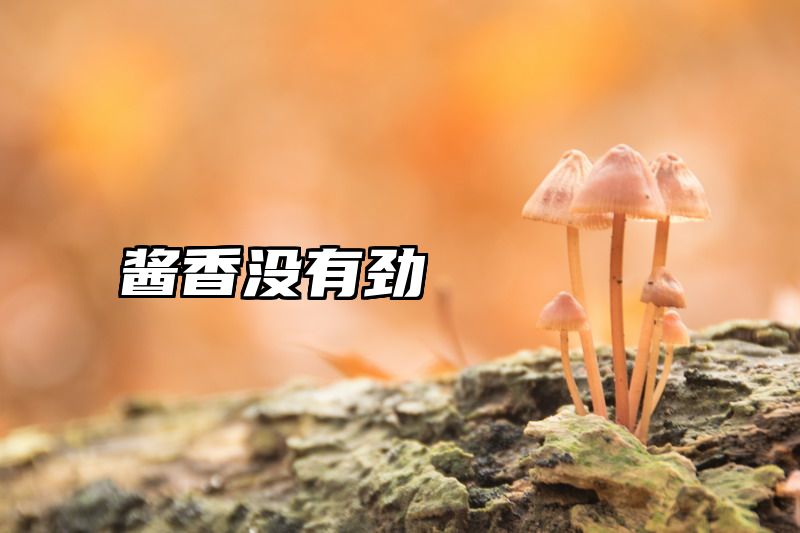 酱香没有劲