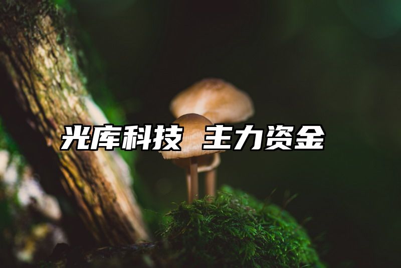 光库科技 主力资金