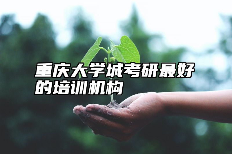 重庆大学城考研最好的培训机构