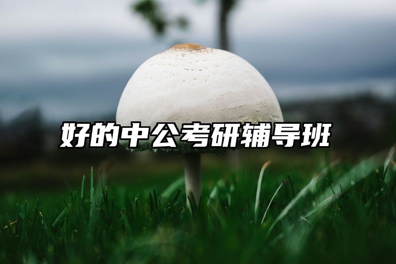 好的中公考研辅导班