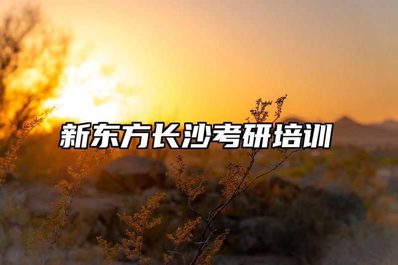 新东方长沙考研培训