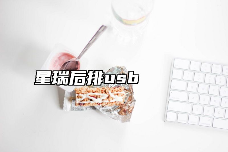 星瑞后排usb