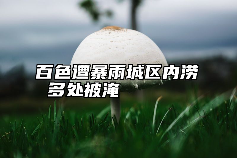 百色遭暴雨城区内涝 多处被淹