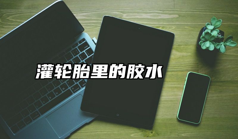 灌轮胎里的胶水