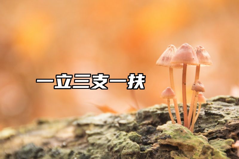 一立三支一扶