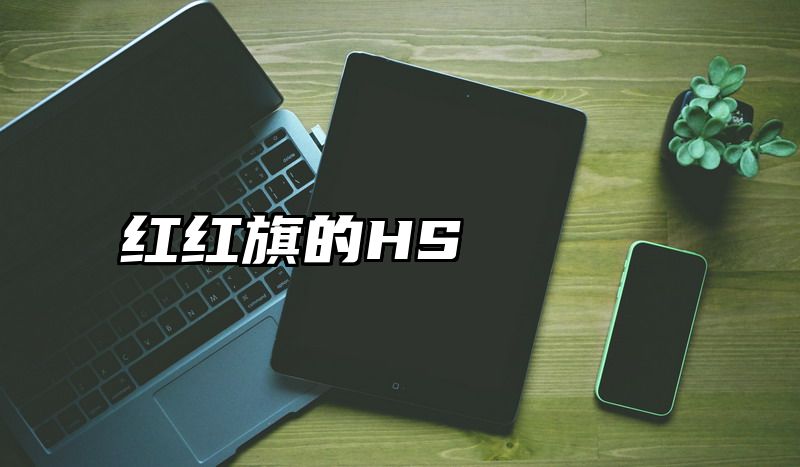 红红旗的HS