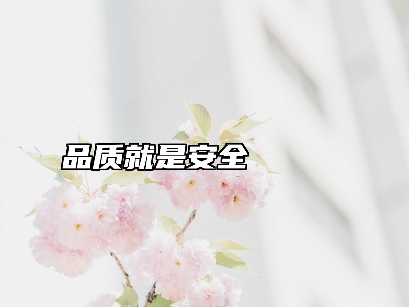 品质就是安全
