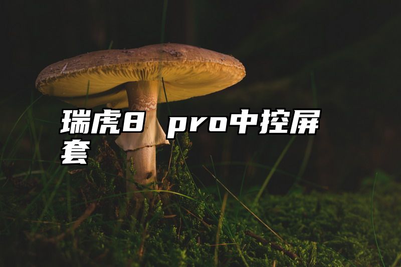 瑞虎8 pro中控屏套