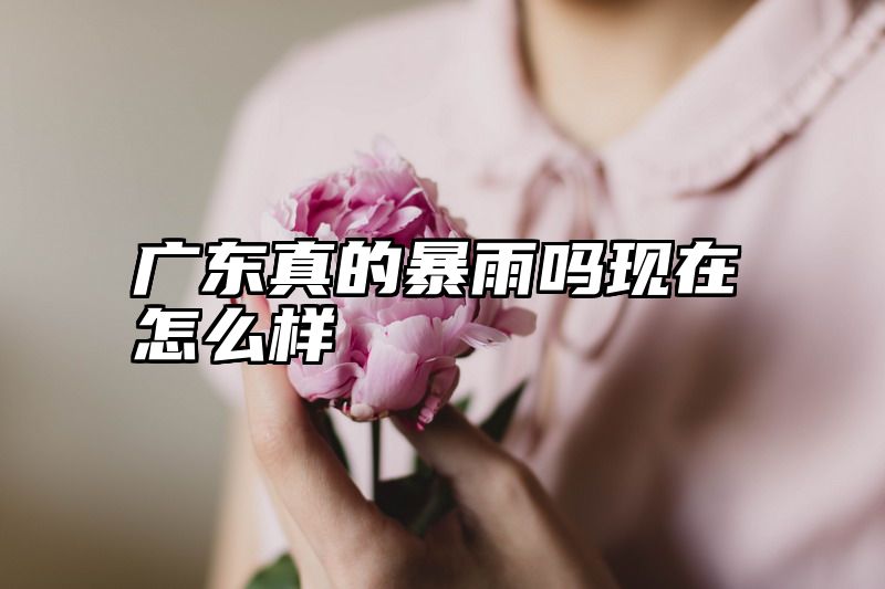 广东真的暴雨吗现在怎么样