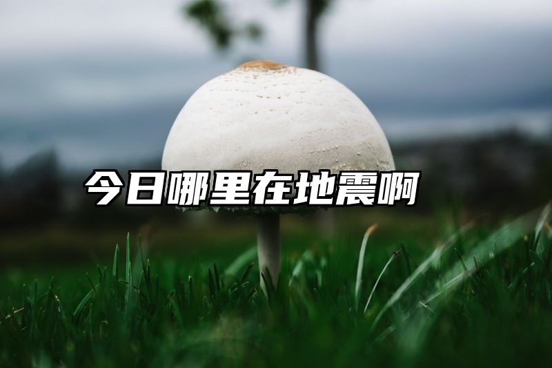 今日哪里在地震啊