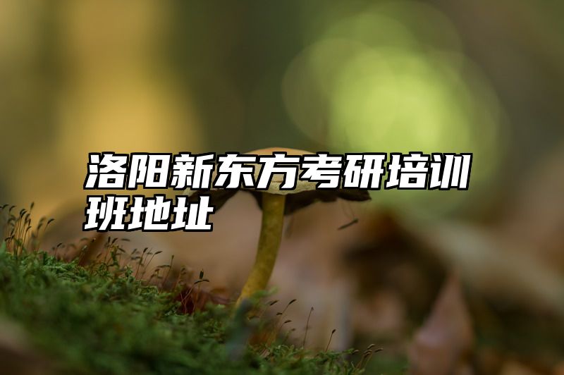 洛阳新东方考研培训班地址
