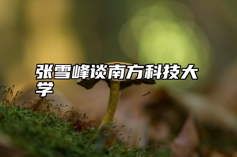 张雪峰谈南方科技大学