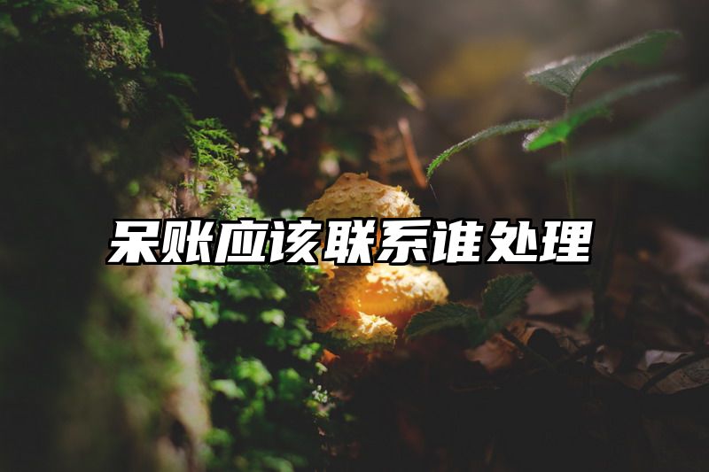 呆账应该联系谁处理