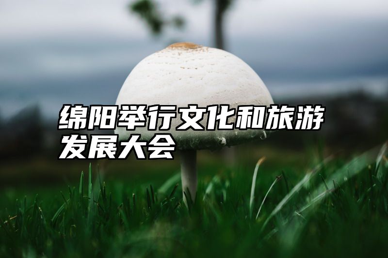 绵阳举行文化和旅游发展大会