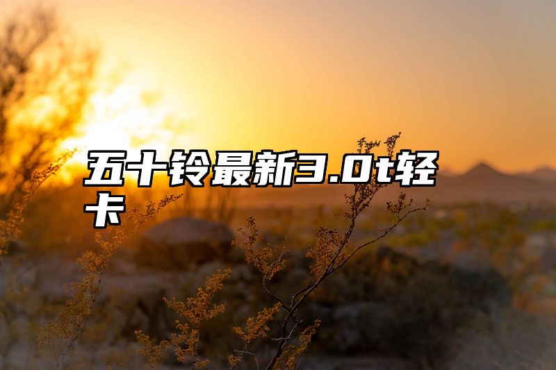 五十铃最新3.0t轻卡