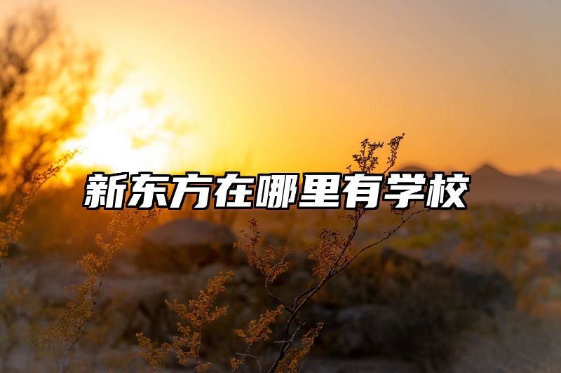 新东方在哪里有学校